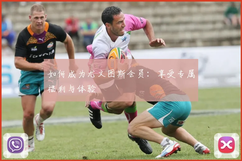 篮球明星的经典语录与人生哲学