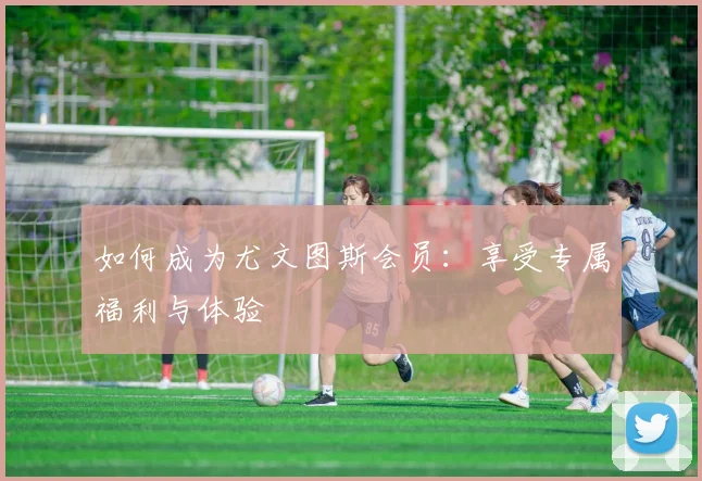 篮球明星的经典语录与人生哲学